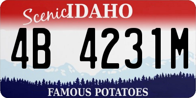 ID license plate 4B4231M