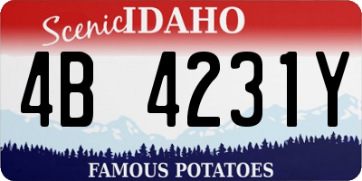 ID license plate 4B4231Y