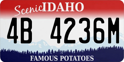 ID license plate 4B4236M