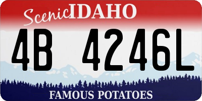 ID license plate 4B4246L