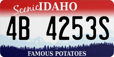 ID license plate 4B4253S