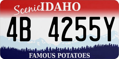ID license plate 4B4255Y