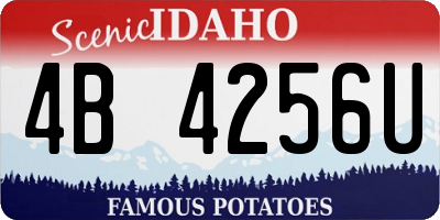 ID license plate 4B4256U
