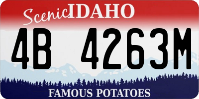 ID license plate 4B4263M