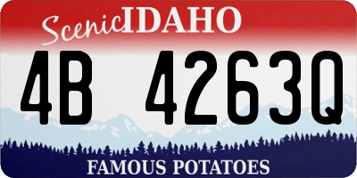 ID license plate 4B4263Q