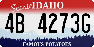 ID license plate 4B4273G