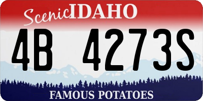 ID license plate 4B4273S