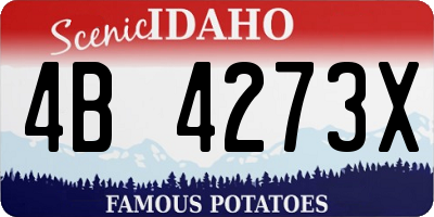 ID license plate 4B4273X