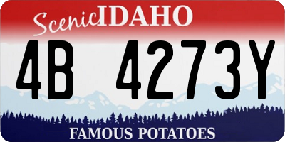 ID license plate 4B4273Y