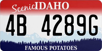 ID license plate 4B4289G