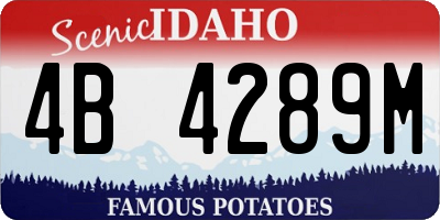 ID license plate 4B4289M