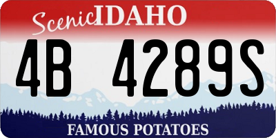ID license plate 4B4289S