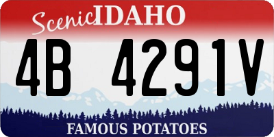 ID license plate 4B4291V