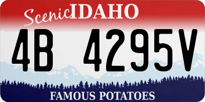 ID license plate 4B4295V