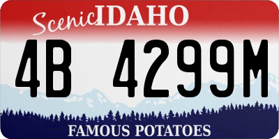 ID license plate 4B4299M