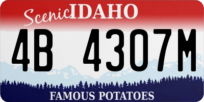 ID license plate 4B4307M