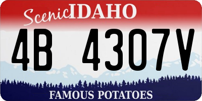 ID license plate 4B4307V