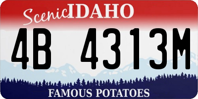 ID license plate 4B4313M