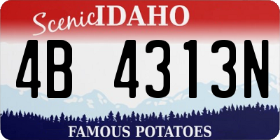 ID license plate 4B4313N