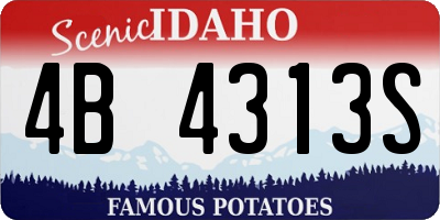 ID license plate 4B4313S