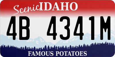ID license plate 4B4341M