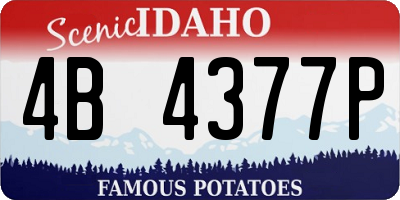 ID license plate 4B4377P