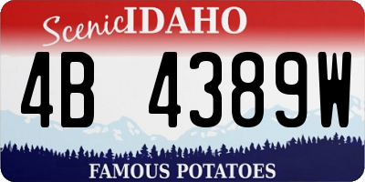 ID license plate 4B4389W