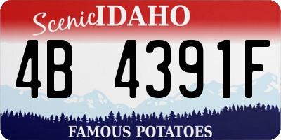 ID license plate 4B4391F