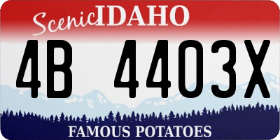 ID license plate 4B4403X