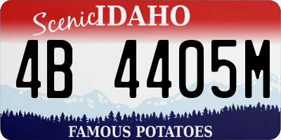 ID license plate 4B4405M