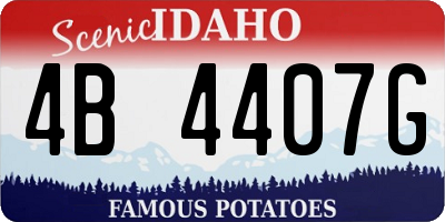 ID license plate 4B4407G