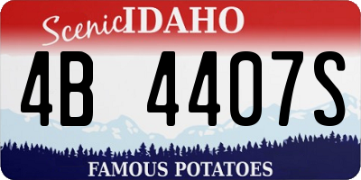 ID license plate 4B4407S