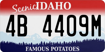 ID license plate 4B4409M