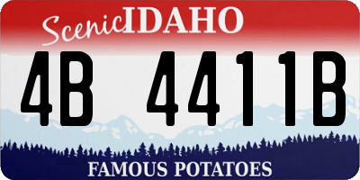 ID license plate 4B4411B
