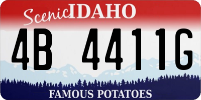 ID license plate 4B4411G