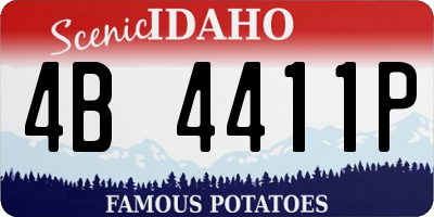 ID license plate 4B4411P