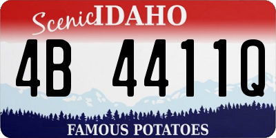 ID license plate 4B4411Q