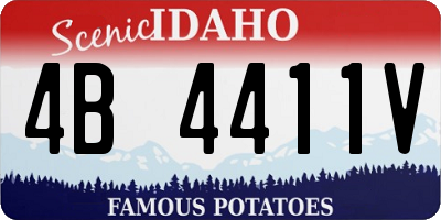 ID license plate 4B4411V