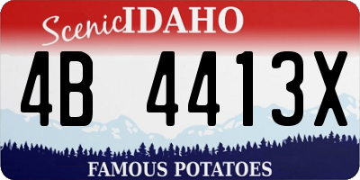 ID license plate 4B4413X