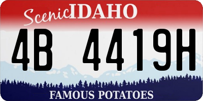 ID license plate 4B4419H