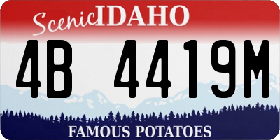 ID license plate 4B4419M