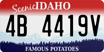 ID license plate 4B4419V