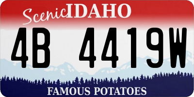 ID license plate 4B4419W
