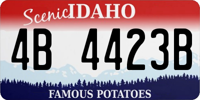 ID license plate 4B4423B