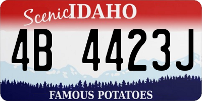 ID license plate 4B4423J