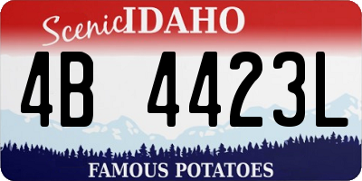 ID license plate 4B4423L