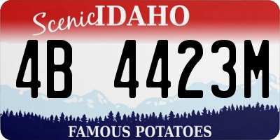 ID license plate 4B4423M