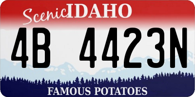 ID license plate 4B4423N