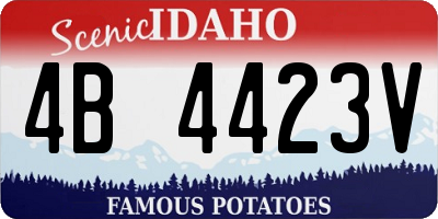 ID license plate 4B4423V