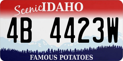 ID license plate 4B4423W